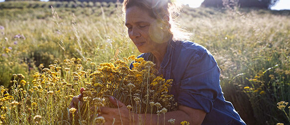 Cultivators Of Change